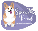 speedfox